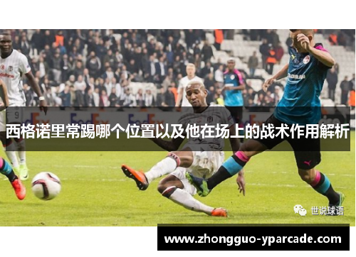 西格诺里常踢哪个位置以及他在场上的战术作用解析