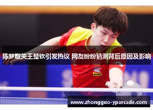 陈梦取关王楚钦引发热议 网友纷纷猜测背后原因及影响