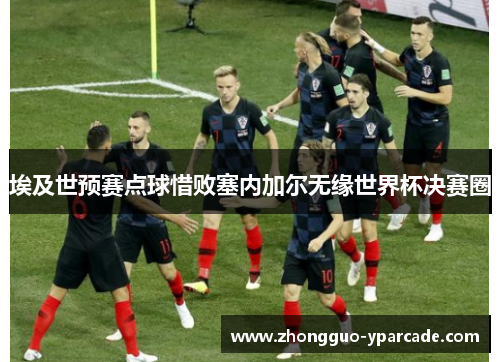 埃及世预赛点球惜败塞内加尔无缘世界杯决赛圈