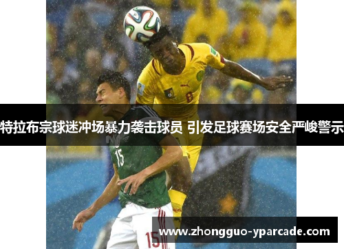 特拉布宗球迷冲场暴力袭击球员 引发足球赛场安全严峻警示 特拉布宗球迷冲场暴力袭击球员 引发足球赛场安全严峻警示